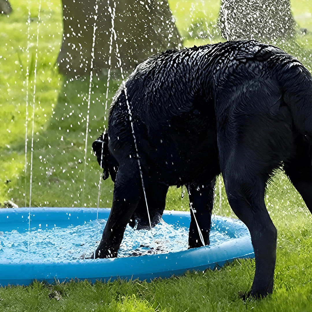 Pawss™ Summer Splash Pad